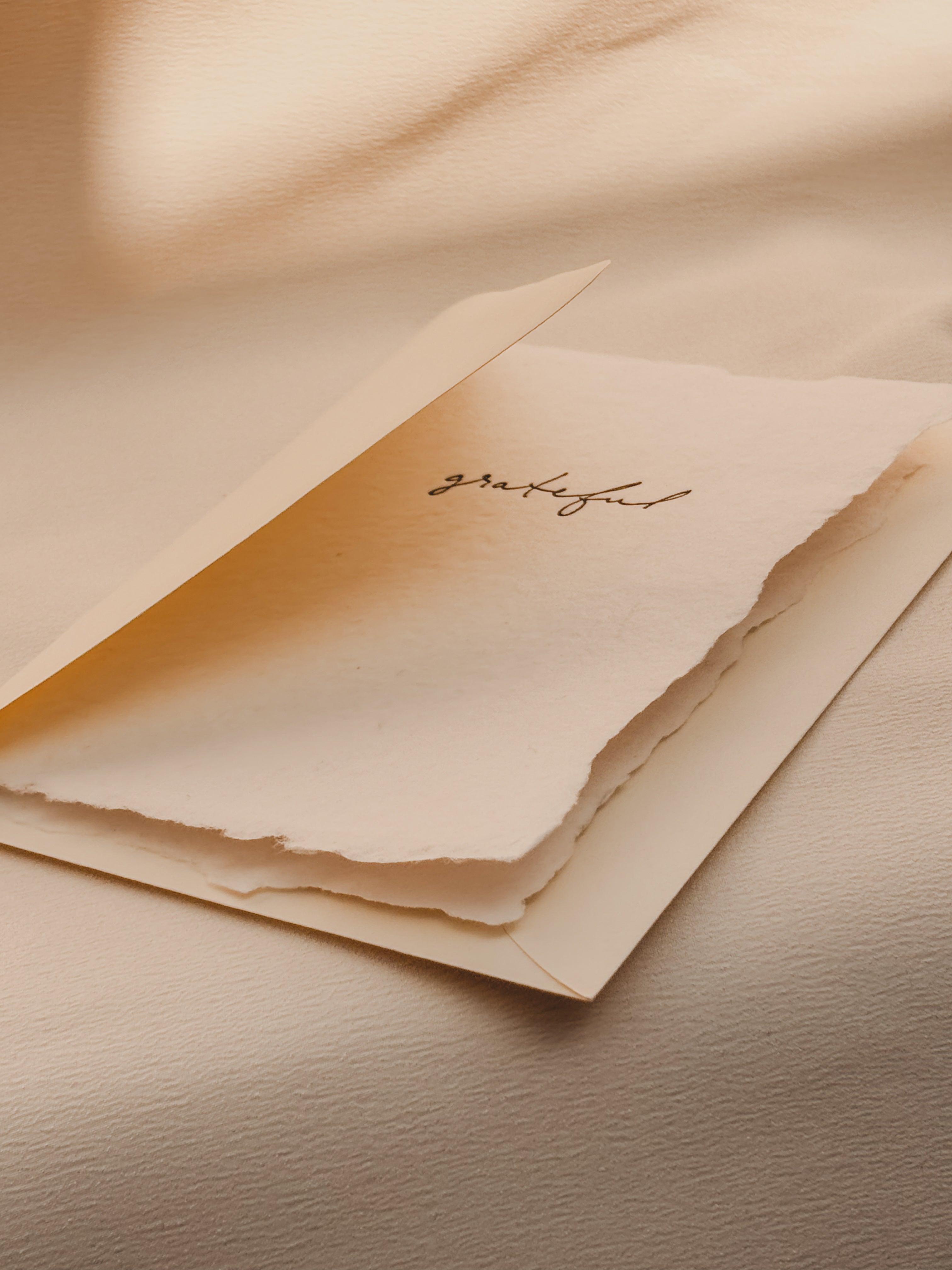 Greeting Cards + Notes