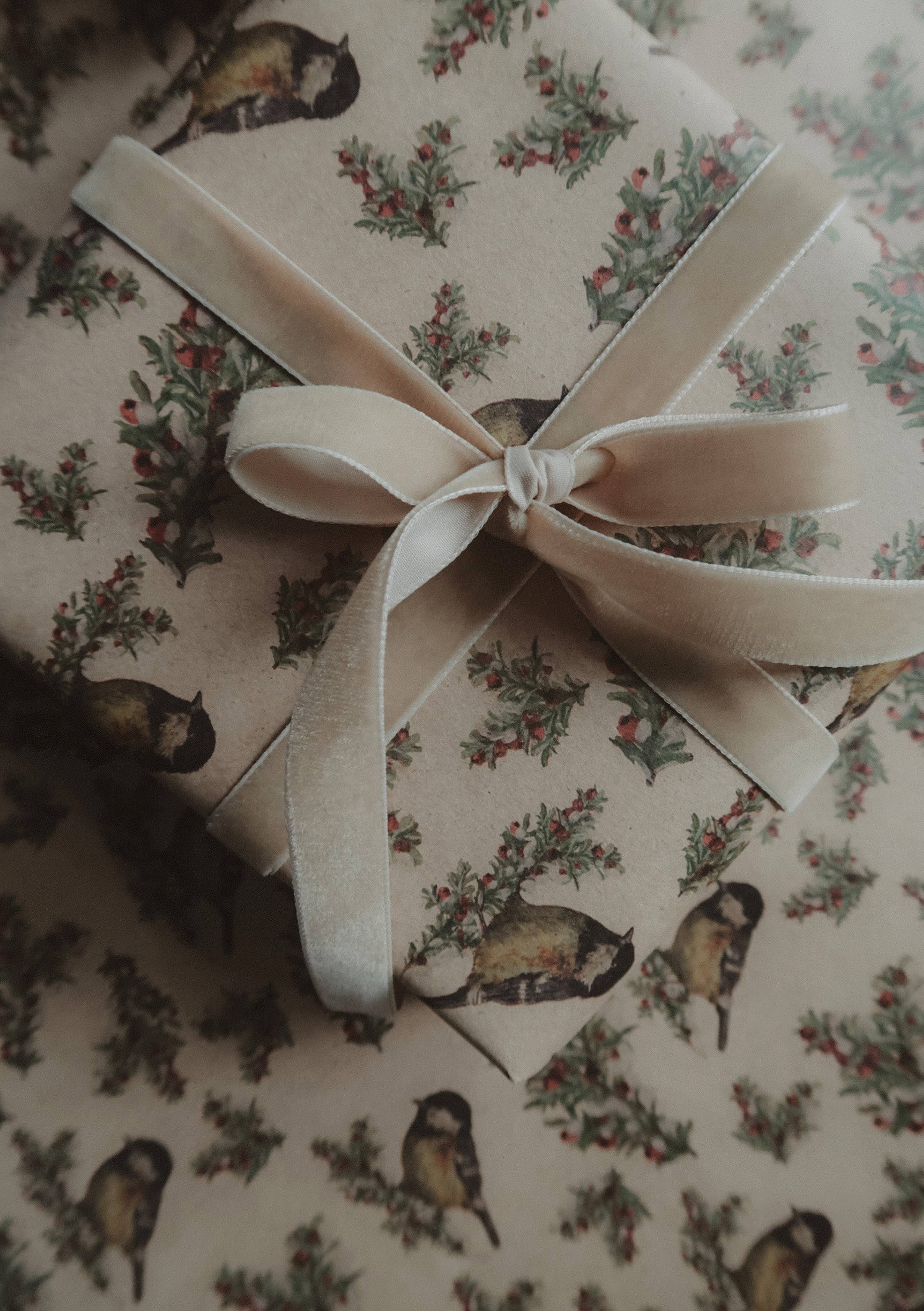 Tit Bird Kraft Wrapping Paper | Set of 3