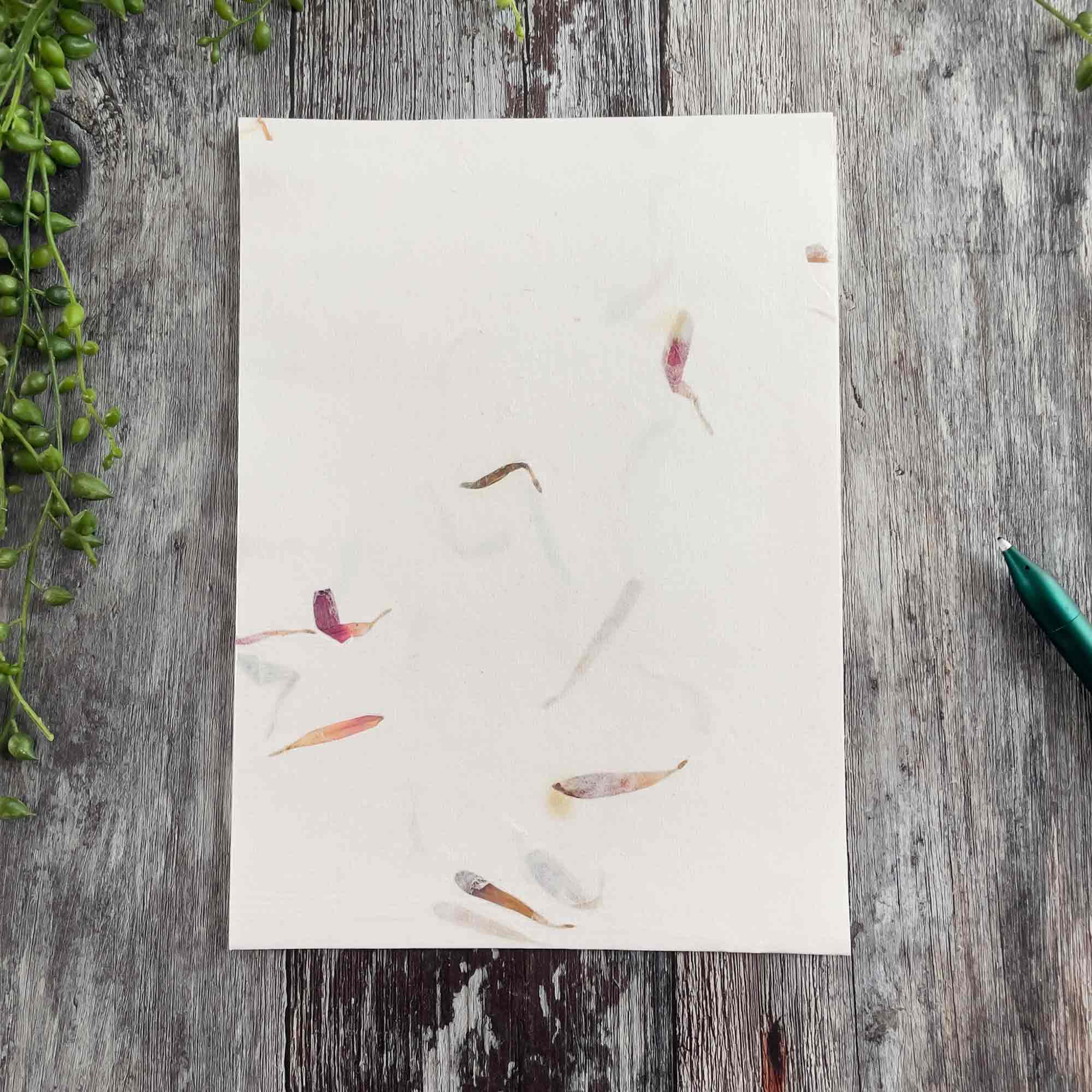 Aster Floral | Handmade Paper and Envelopes