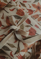 Velvet Ribbon | Shell