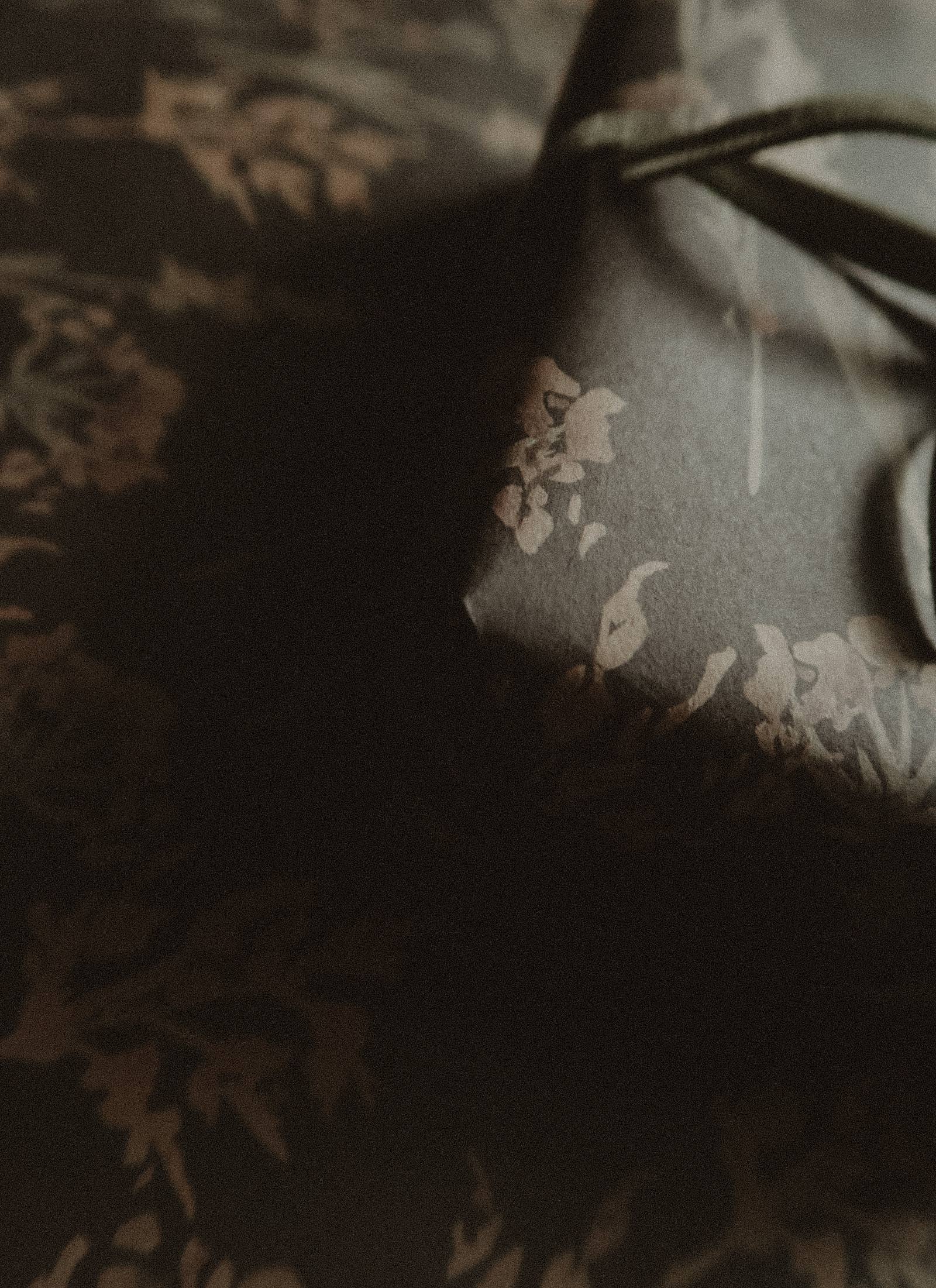 Winter Bloom Wrapping Paper | Set of 3