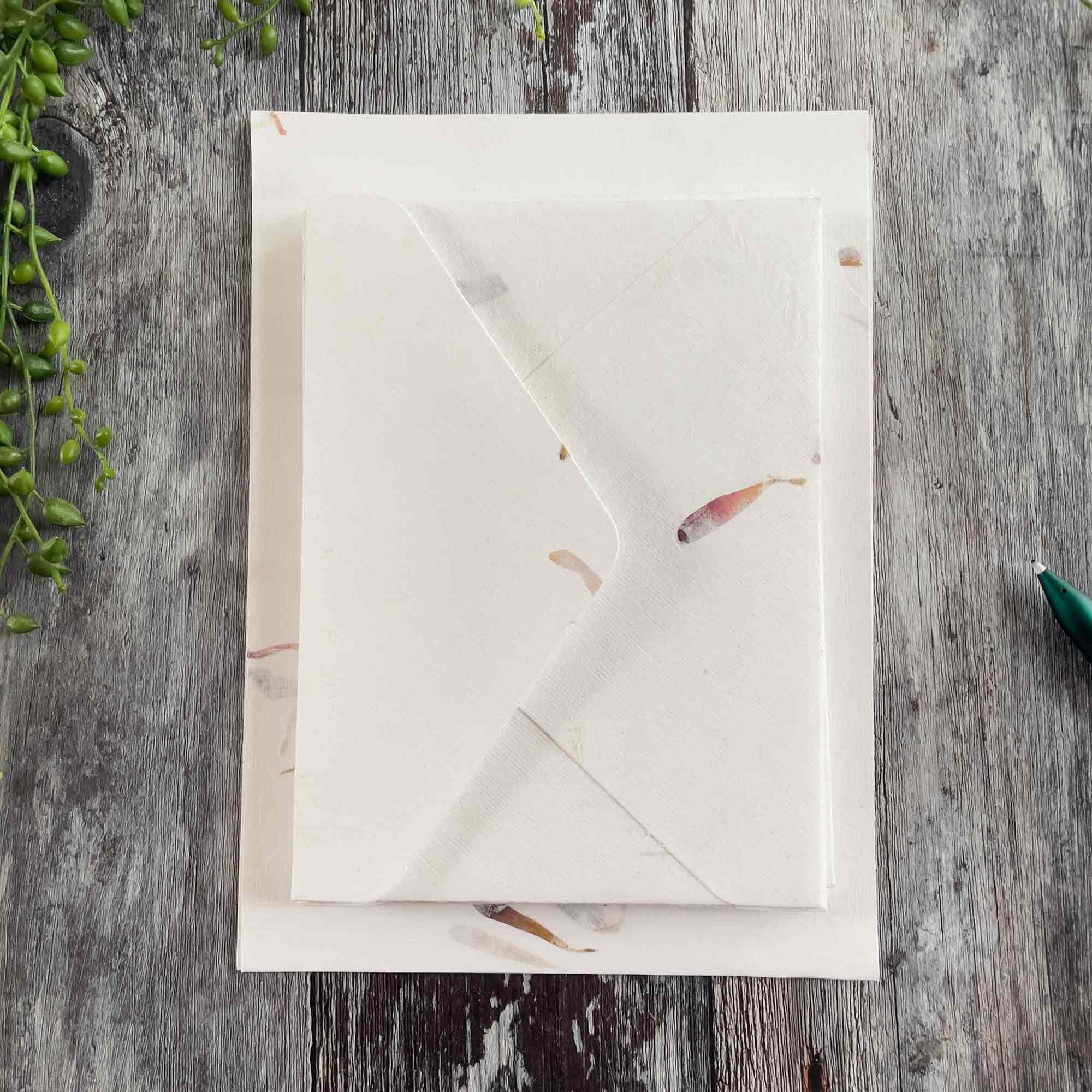 Aster Floral | Handmade Paper and Envelopes