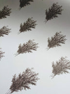 Evergreen Wrapping Paper | Set of 3