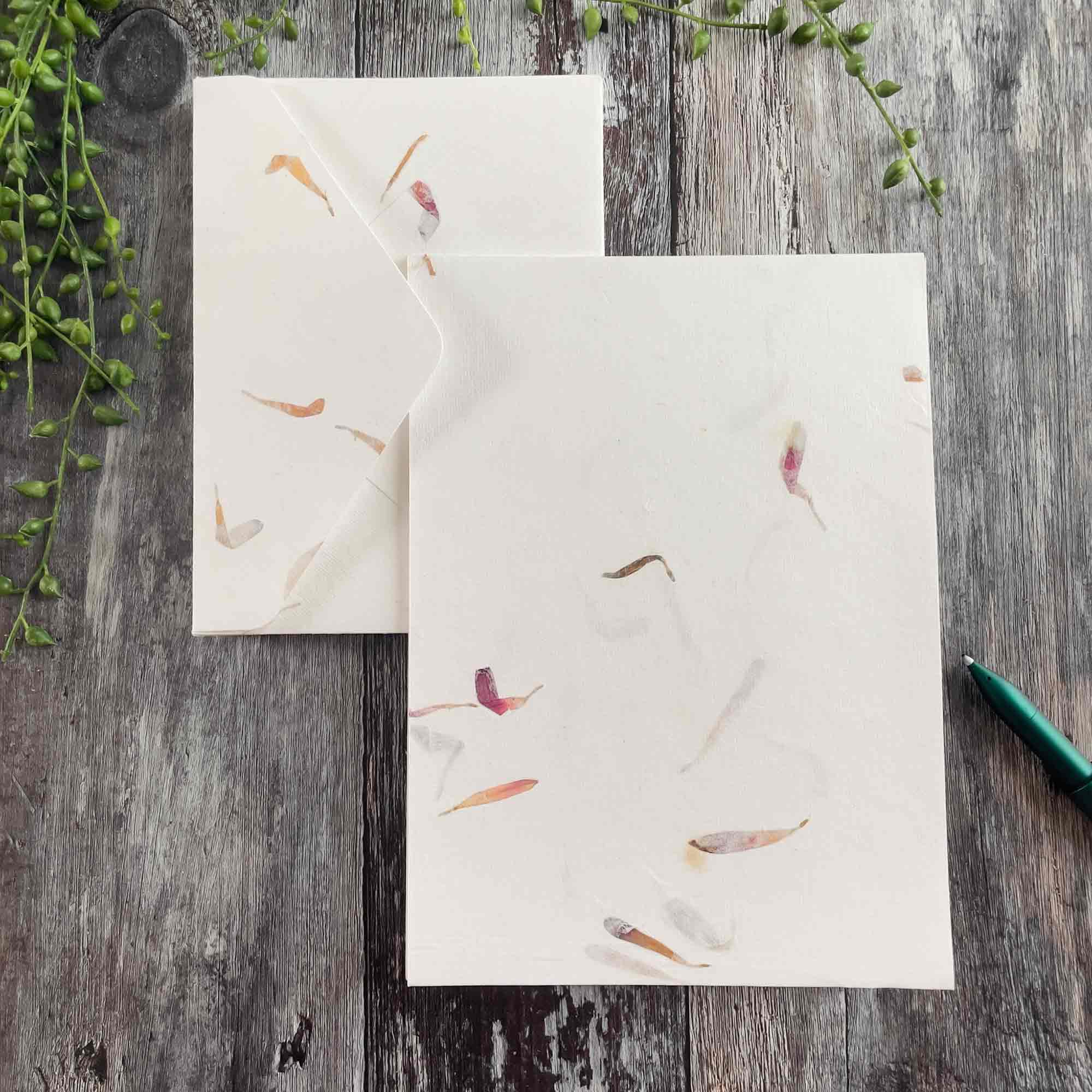 Aster Floral | Handmade Paper and Envelopes