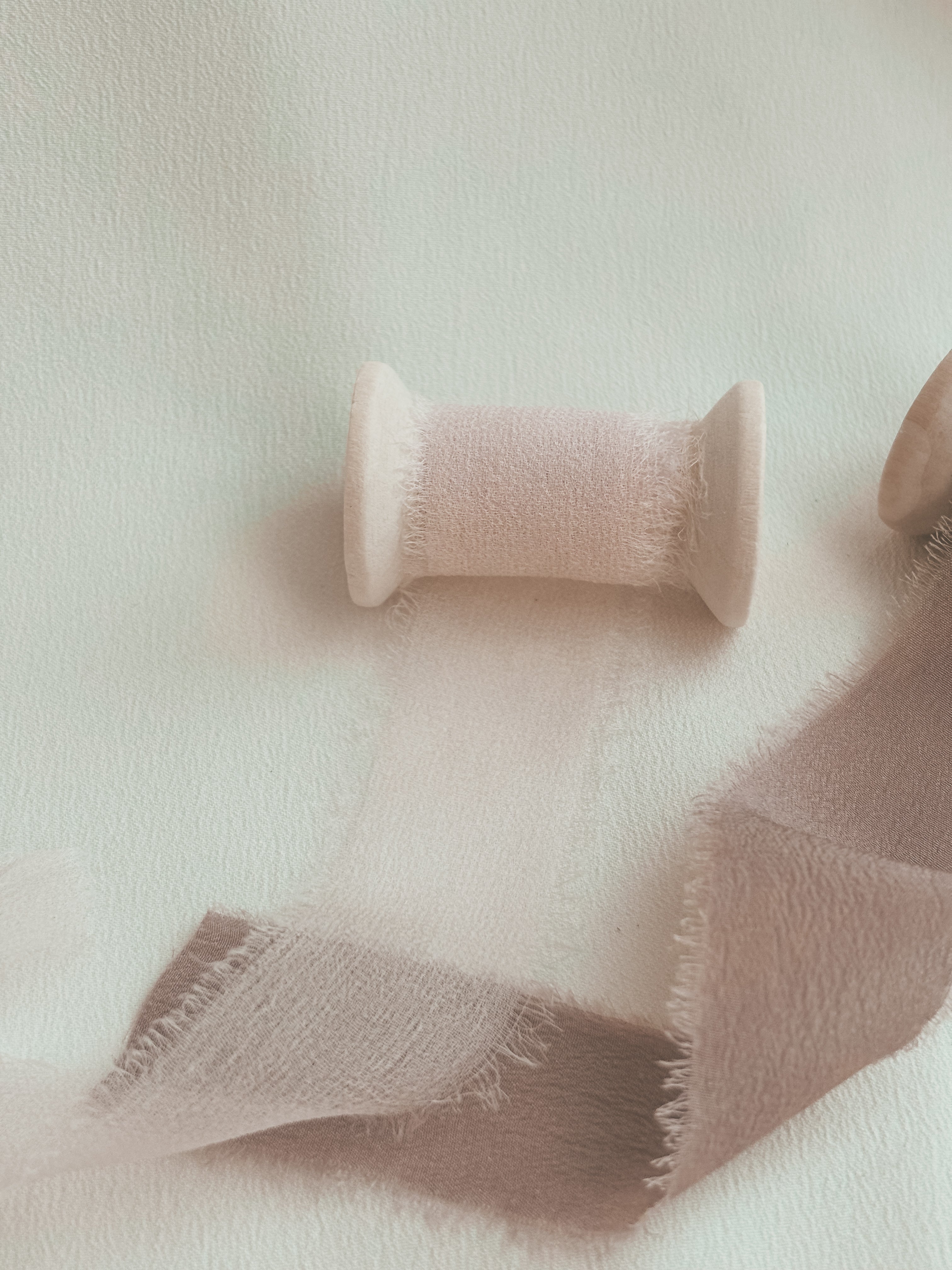 Silk Gossamer Ribbon | in Champagne | Raw Edge