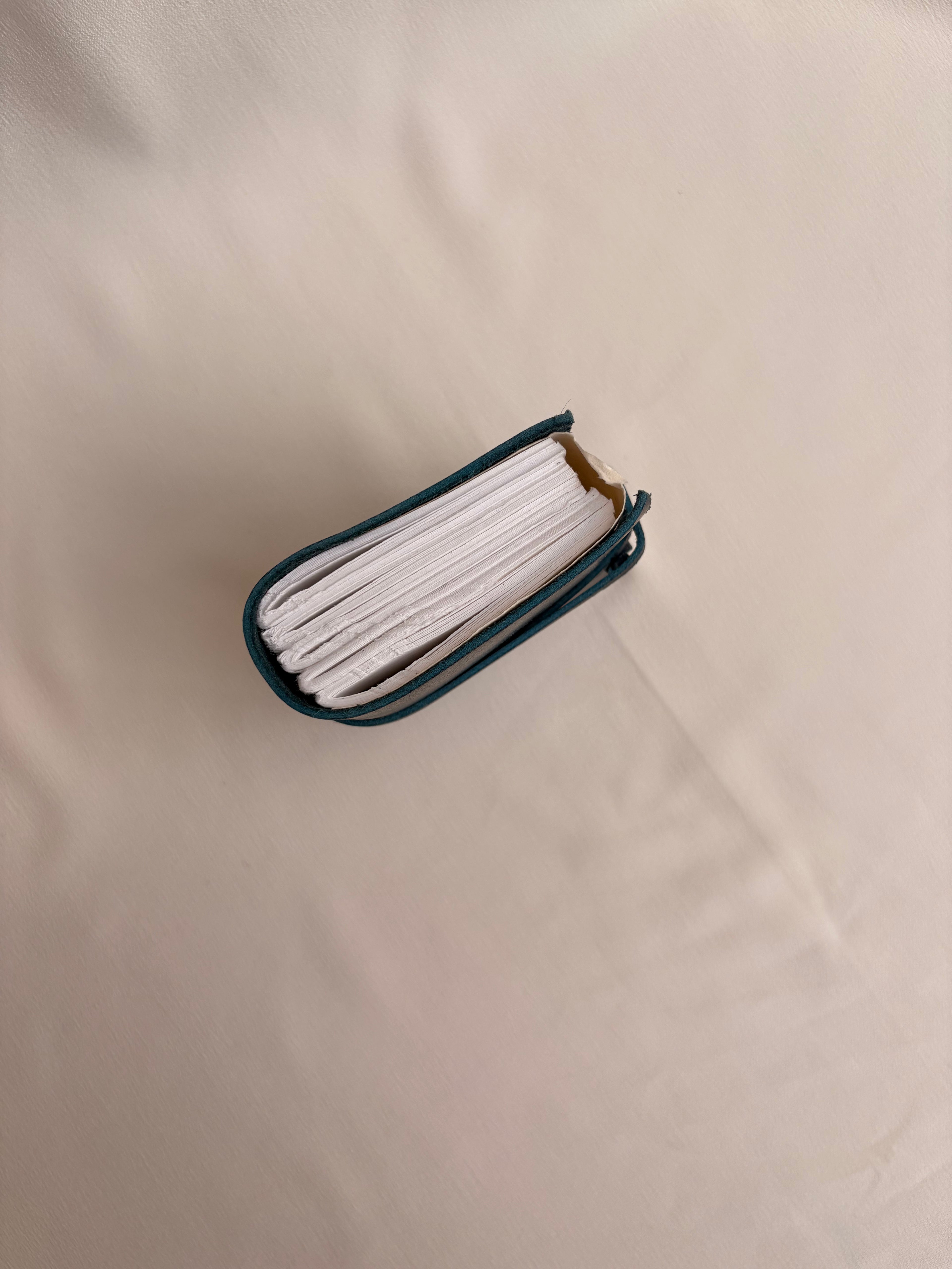 Mini Leather Journal