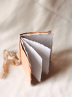 Papaya Notebook