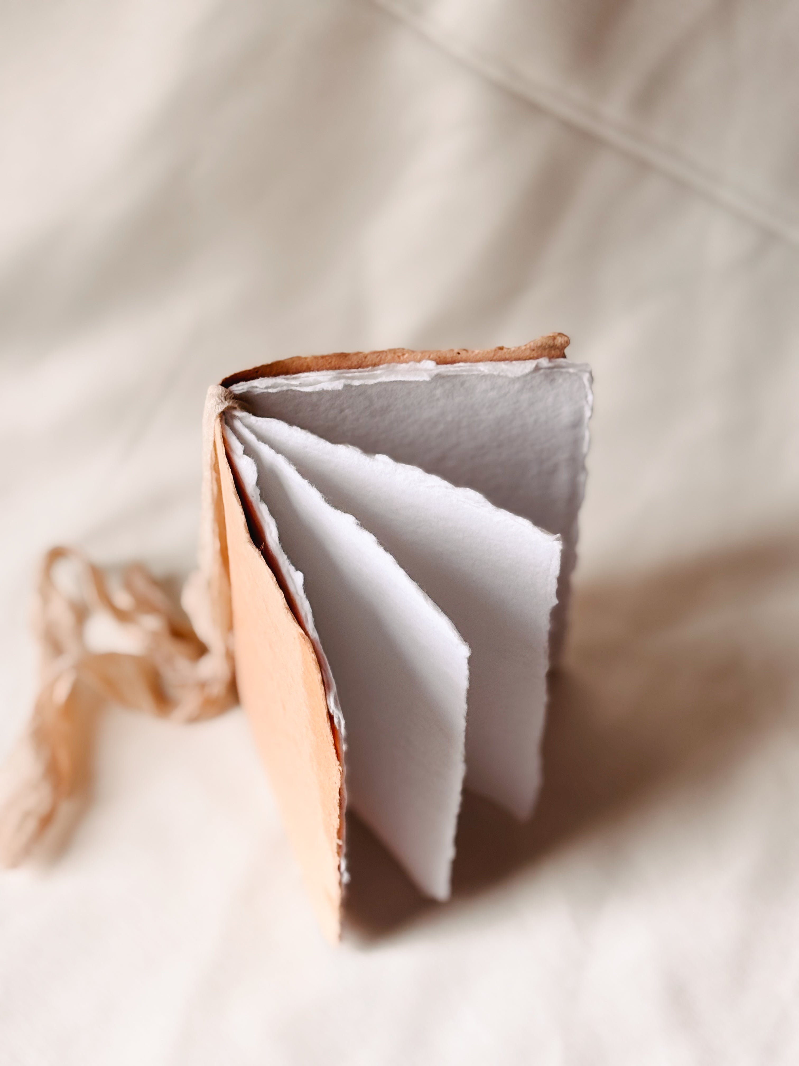 Papaya Notebook