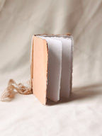 Papaya Notebook