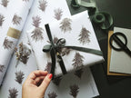 Evergreen Wrapping Paper | Set of 3