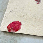 Lotka | Handmade Paper and Envelopes