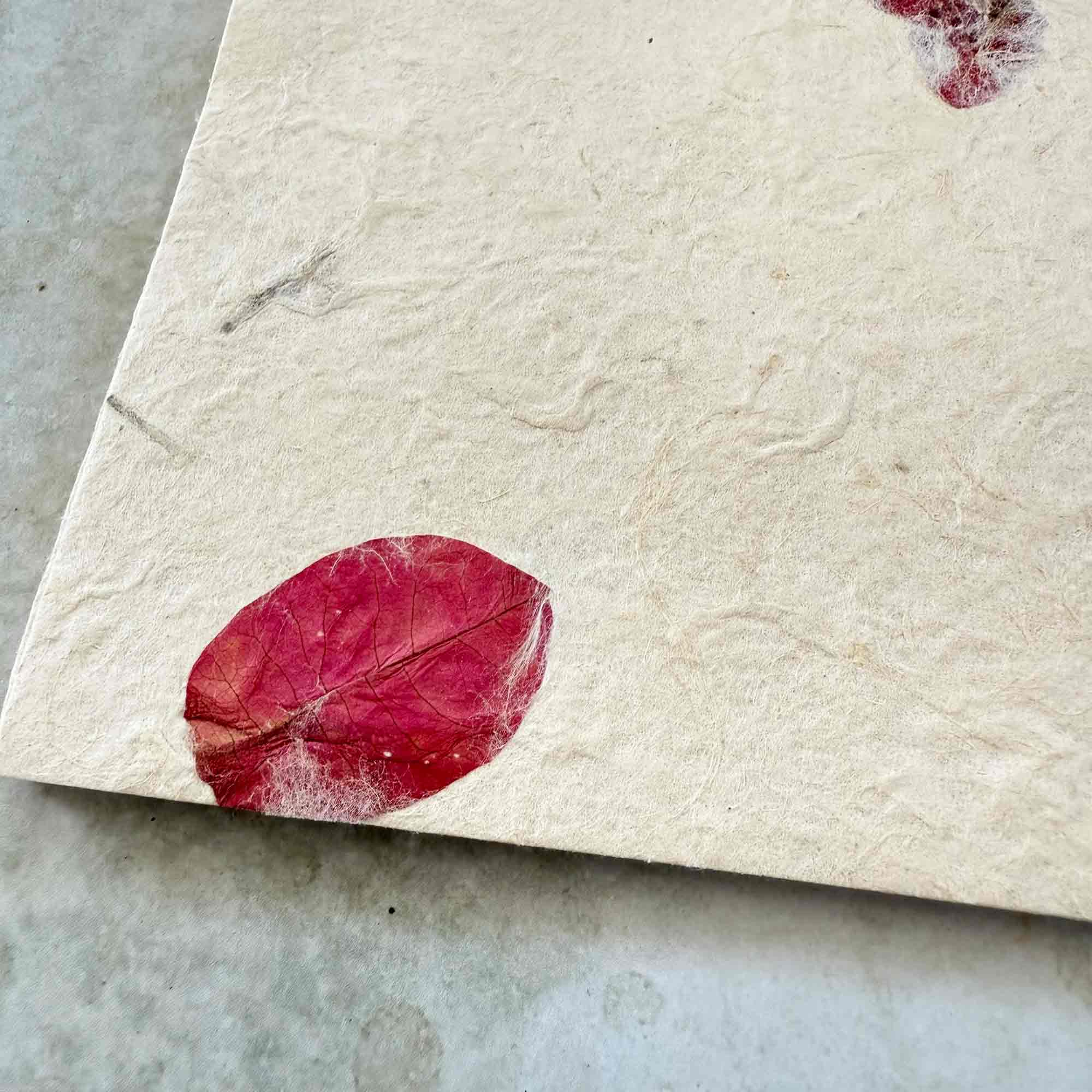 Lotka | Handmade Paper and Envelopes
