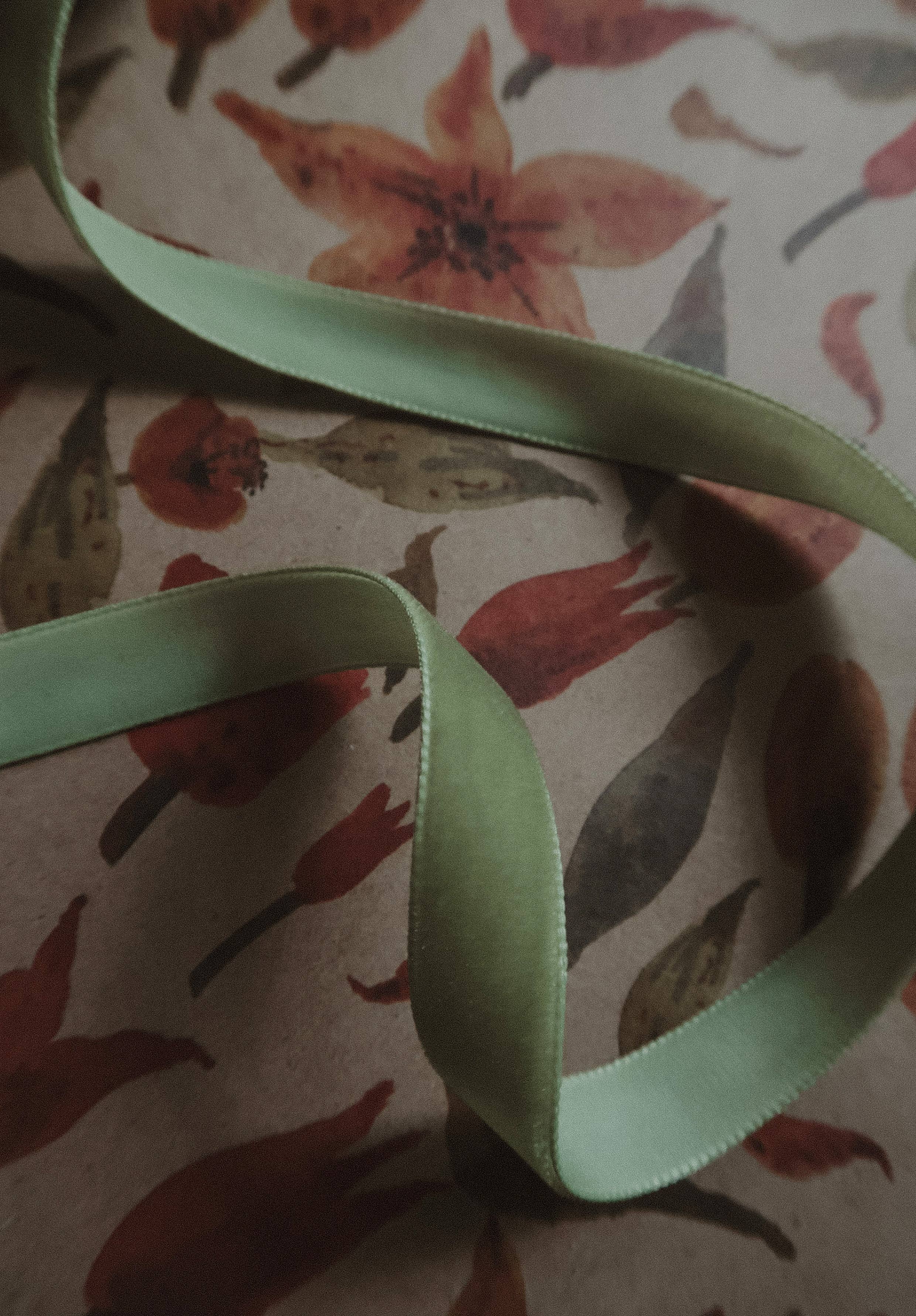 Velvet Ribbon | Green Apple